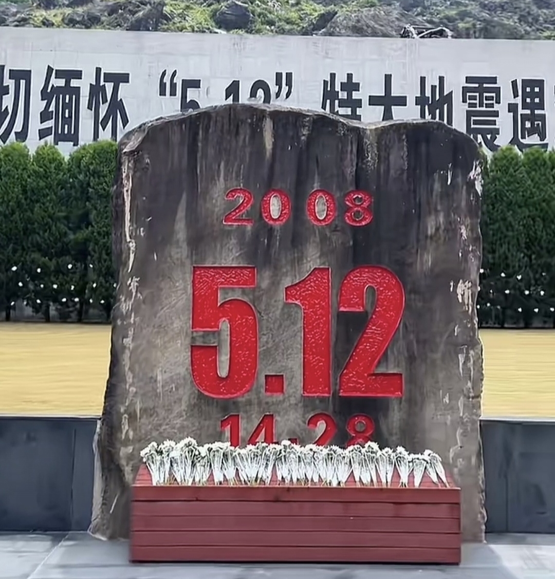 1000000793.jpg